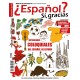¿Español? Sí, gracias 54