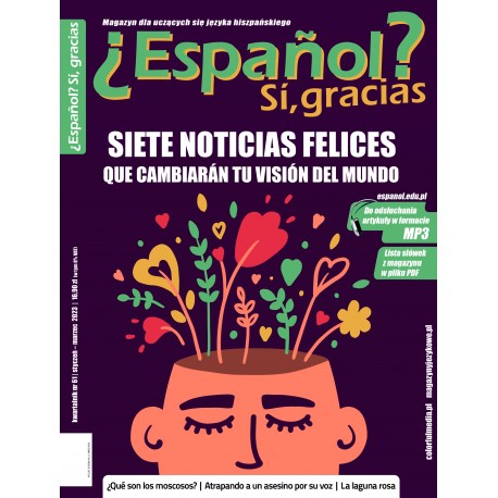 ¿Español? Sí, gracias 61