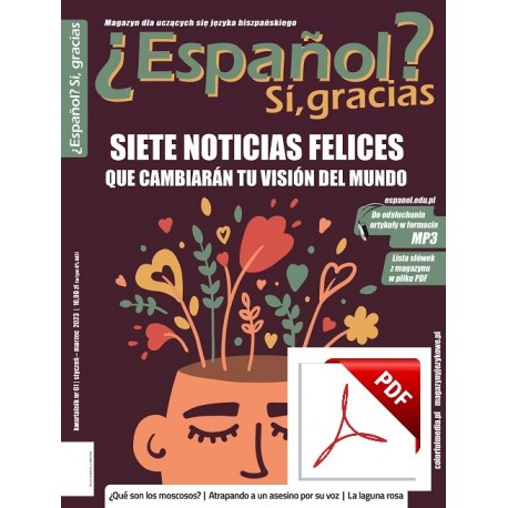 ¿Español? Sí, gracias 61