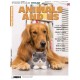 English Matters Animals and us