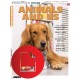 English Matters Animals and us